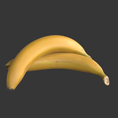 Fresh Ripe Yellow Bananas Two Healthy Tropical Fruit Placed on Gray Background 3d model