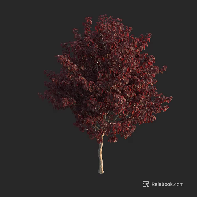 Dark Red Leaf Arbor With Slender Trunk And Lush Foliage Look 3d model 