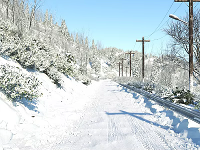 Winter Landscape With Snow Covered Road Trees Bushes Utility Poles Street Lamps And Blue Sky 3d model