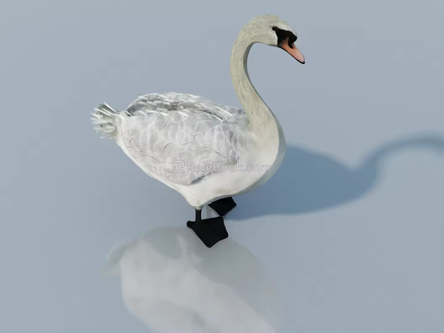 Animal character sketch 3d model