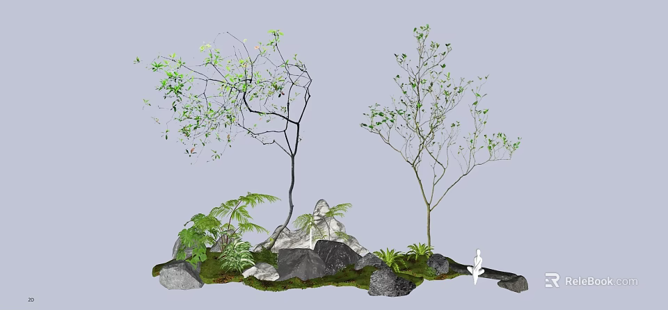 Two Arbor Trees With Rocks Ferns And Green Grass In Natural Garden 3d model 