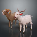 Brown and White Sheep with Curved Horns and Red Ears on Grey Background Reflective Surface