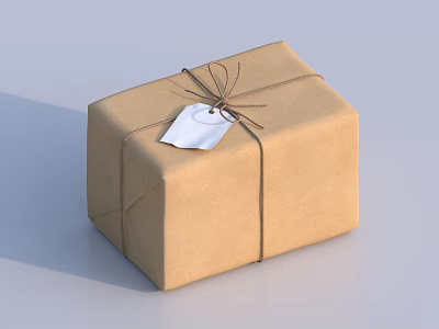 Elegant Decorative Ornament Set with Kraft Paper Wrapped Gift Box and Twine Tied White Tag 3d model