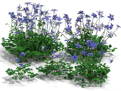 Purple Flowering Plants With Green Leaves In Garden Clump Arrangement 3d model