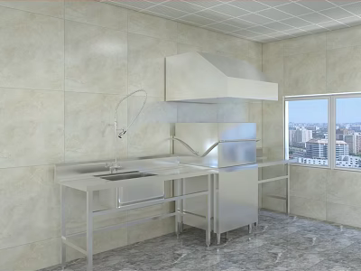 Modern Stainless Steel Kitchen With Counter Range Hood Sink Window And Appliances 3d model