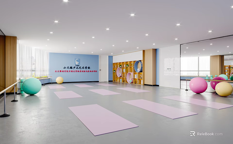 Spacious Yoga Fitness Training Room With Colored Exercise Balls Pink Mats And Mirrors 3d model 