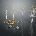 White Trunk Trees With Yellow Leaves And Colorful Small Flowers Near Stones On Reflective Gray Ground