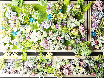 Living Plant Wall With Various Succulents Colorful Flowers And Different Leaf Shapes 3d model