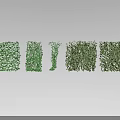 Green Vines In Various Forms Showcase Natural Growth Patterns And Textures
