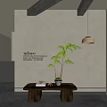 Natural Minimalist Interior With Light Wall Rituals Text Wooden Table Potted Plant And Books