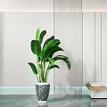 Large Leaf Potted Plant In Decorative Patterned Vase For Modern Interior Decor
