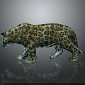 Realistic 3D Leopard Model With Spotted Pattern In Standing Pose On Dark Background With Reflection 3d model