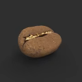 Detailed Botanical Painting of Cracked Brown Coffee Bean on Black Background