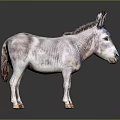 Realistic Gray Donkey Model With Brown Mane Standing On Dark Surface