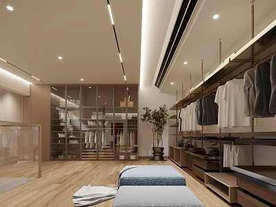 Walk in Closet Interior Design With Wooden Cabinets Hanging Rods Storage Shelves And Lighting 3d model