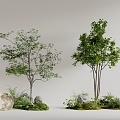 Modern Tree Plant Combination 3d model