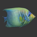 Colorful Fish Doll Toy With Blue Yellow Green Hues Spots And Stripes On Black Background