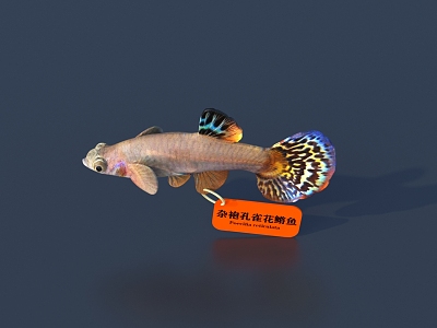 Fish 3D Model 3d model