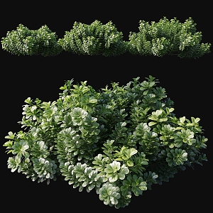 bush plant outdoor green plant flowers grass bushes jungle landscape 3d model