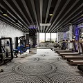 Spacious Modern Fitness Gym With Various Fitness Equipment Black White Patterned Floor And Natural Light
