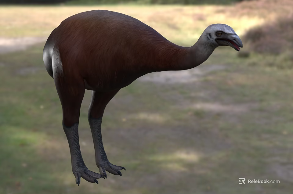 Large Brown Flying Animal With Long Neck And Legs Standing On Grassland 3d model 