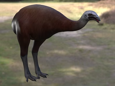 Large Brown Flying Animal With Long Neck And Legs Standing On Grassland 3d model
