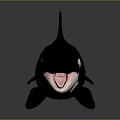 Orca Marine Animal With Black And White Body Open Mouth And Dorsal Fin