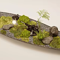Green Moss On Silver Tray With Dotted Pattern Edge Ferns Stones And Small Lights