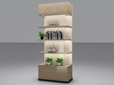 Modern Wooden Display Cabinet With Multiple Shelves Built-in Lighting and Decorative Items 3d model
