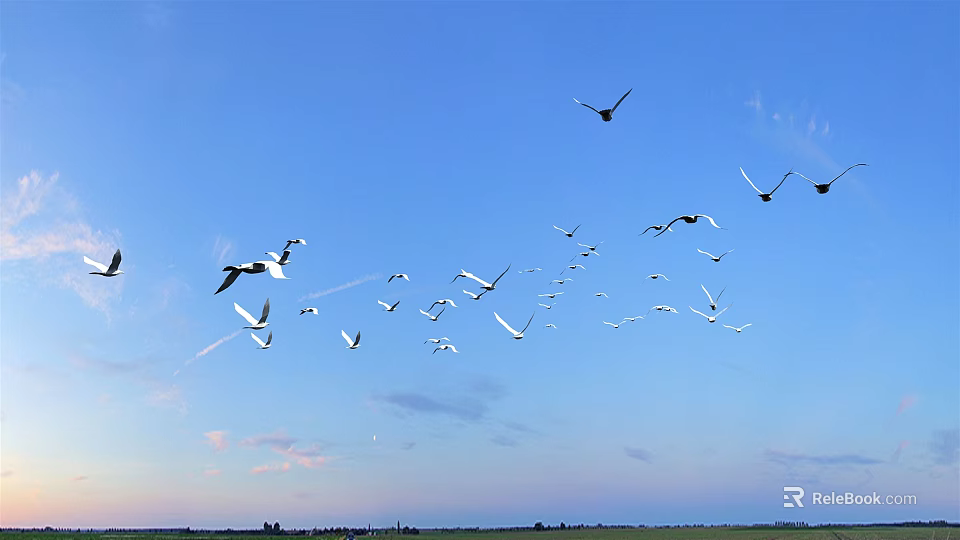 Flock of Birds Flying in Clear Blue Sky During Sunset Over Green Grassland 3d model 