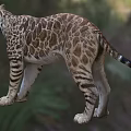 Large Spotted Striped Reptile in Prehistoric Standing Pose with Natural Look
