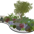 Diverse Landscape Plant Combination with Tree Shrubs Herbs Rocks and White Pebbles