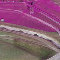 Cartoon Scene of Green Fields Winding Path and Red Brick Tower in Aerial View Grassland