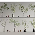 Stylish Vases With Green Foliage On Shelves And Decorative Balls For Indoor Decor