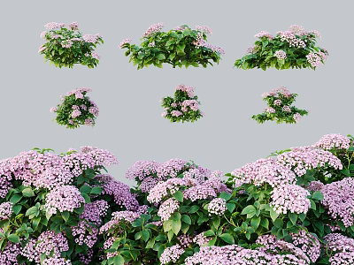 Blooming Purple Flowers with Lush Green Leaves for Garden Landscaping Decor 3d model