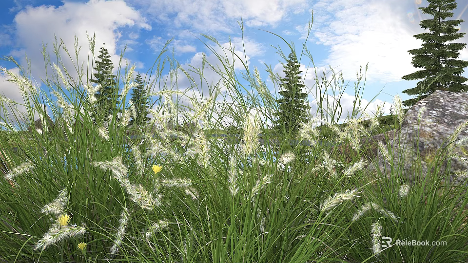 Tall Green Grass And White Flowers Under Blue Sky With Clouds Pine Trees And Rock 3d model 