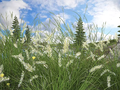 Tall Green Grass And White Flowers Under Blue Sky With Clouds Pine Trees And Rock 3d model