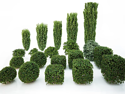 Various Shaped Green Bushes Rounded And Cylindrical For Garden Landscaping 3d model