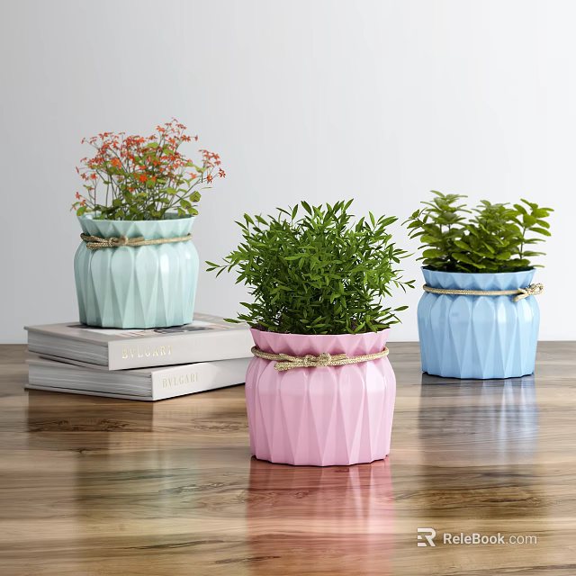 Bonsai Potted Plants With Pastel Geometric Textured Pots Twine Wrapped On Stacked Books Wooden Tabletop 3d model 