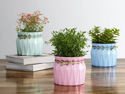 Bonsai Potted Plants With Pastel Geometric Textured Pots Twine Wrapped On Stacked Books Wooden Tabletop 3d model