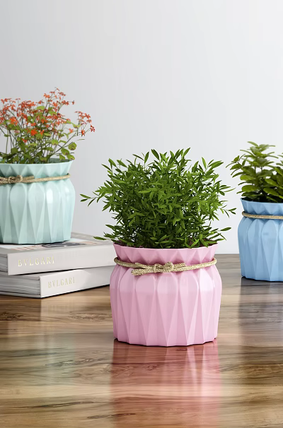 Bonsai Potted Plants With Pastel Geometric Textured Pots Twine Wrapped On Stacked Books Wooden Tabletop 3d model