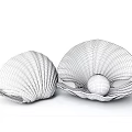 Elegant Shell Shaped Jewelry Design With Open Shell And Pearl Centerpiece