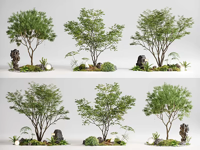 Charming Garden Ornamental Arrangements With Leafy Trees Stones And Small Plants 3d model