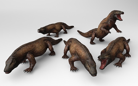 Komodo Dragon 3d model