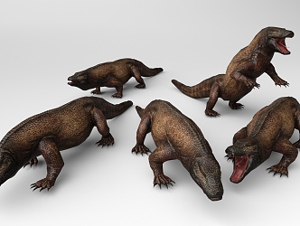 Komodo Dragon 3d model