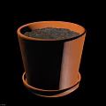 Orange Decorative Flower Pot With Saucer And Soil For Home Living Use