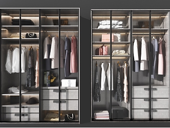 Modern Glass Wardrobe 3d model