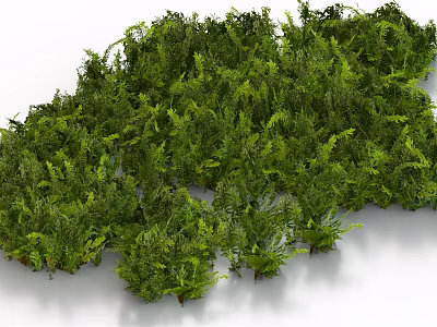 Lush Green Plants With Dense Foliage And Various Natural Herbs 3d model