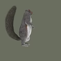 Gray Squirrel Running With Long Tail Gray Fur White Belly Background 3d model