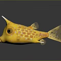 Yellow Horned Fish With Spotted Body Spines Big Eyes And Reflective Surface